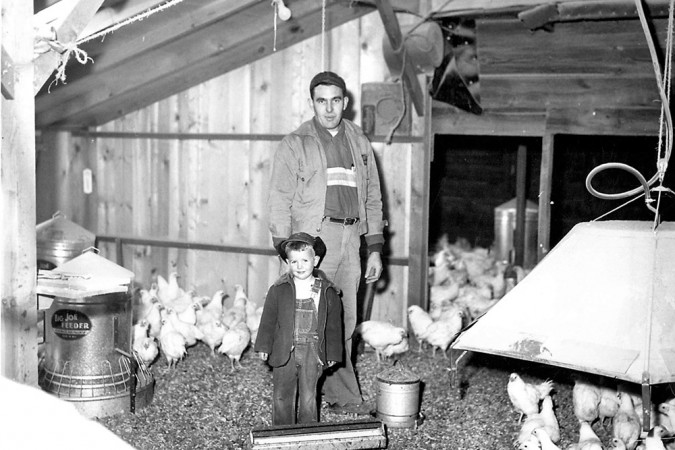 Father and Son with Chickens 1955